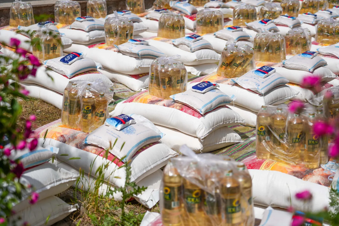 Food packages with flour, rice and cooking oil arranged for distribution in Herat