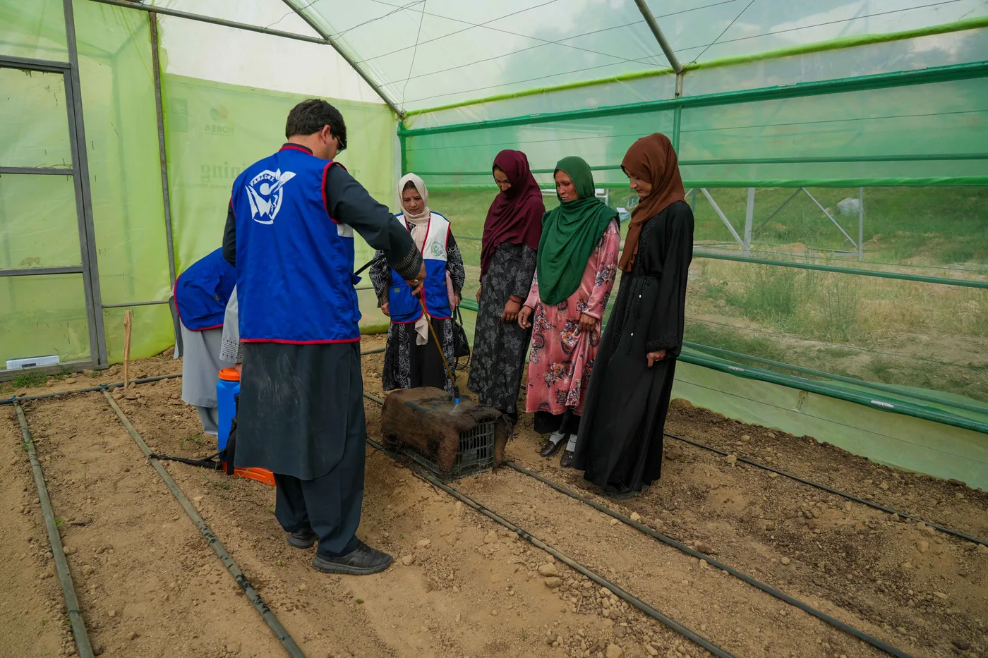 Climate-Smart Greenhouses in Daikundi gallery image