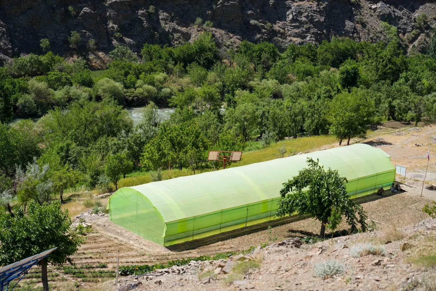 A greenhouse and water tank among orchards in Daikundi